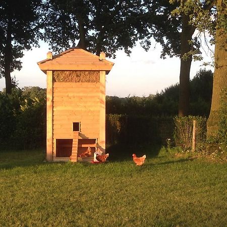 Bed En Boterham Hoeve Boord Ven Bed and Breakfast Eersel Exteriör bild
